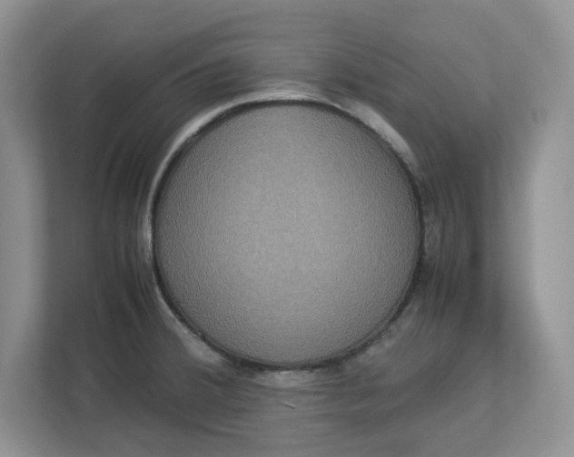 X0000112951380200909141358