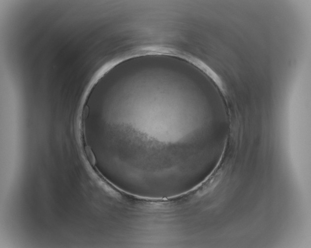 X0000112951381200909141358