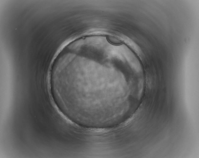 X0000112951382200909141358