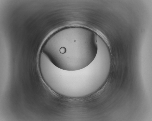 X0000112951384200909141358