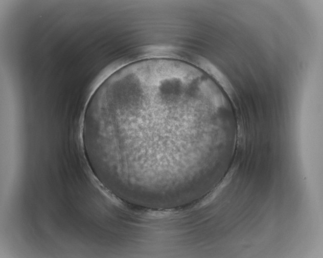 X0000112951386200909141358