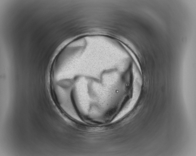 X0000112951387200909141358