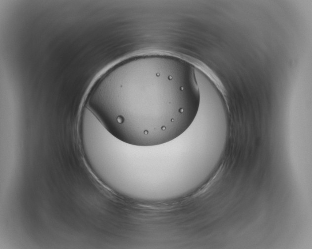 X0000112951388200909141358