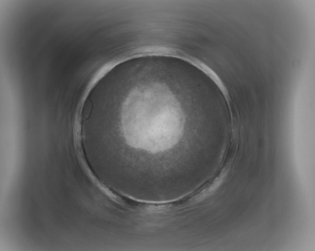 X0000112951389200909141358