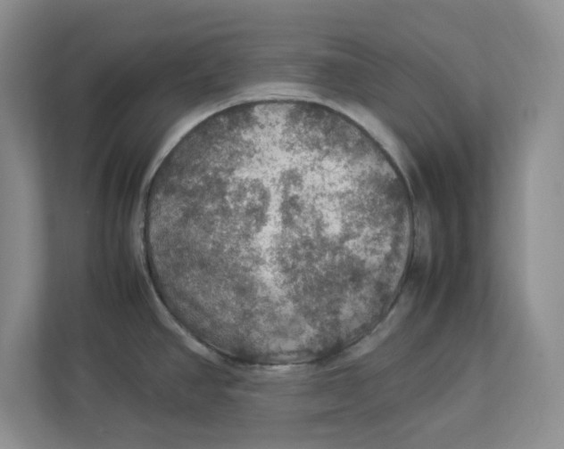 X0000112951390200909141358