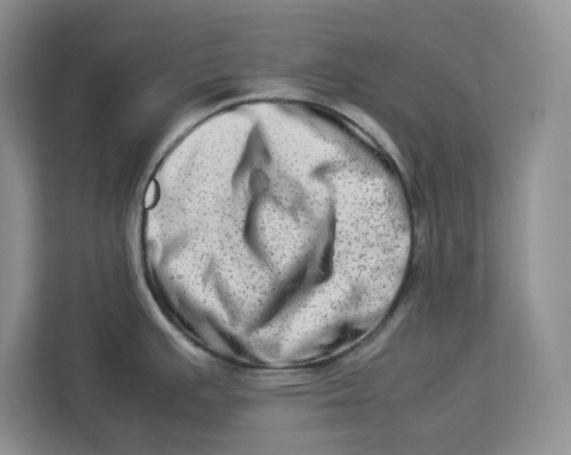 X0000112951391200909141358