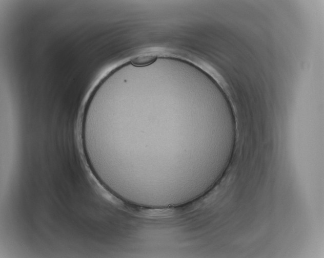 X0000112951392200909141358