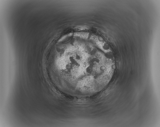 X0000112951393200909141358