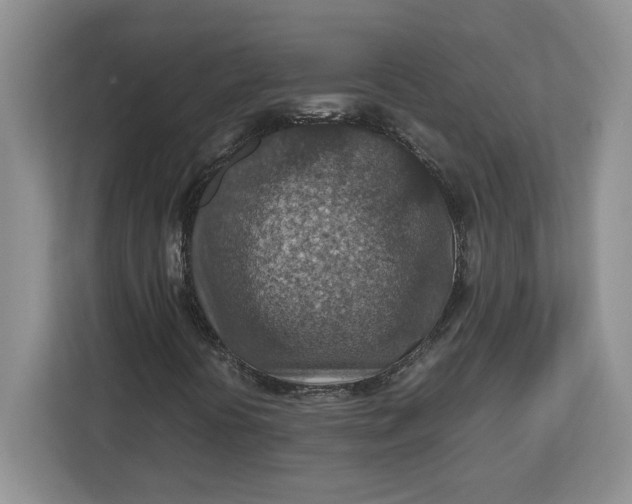 X0000112951394200909141358