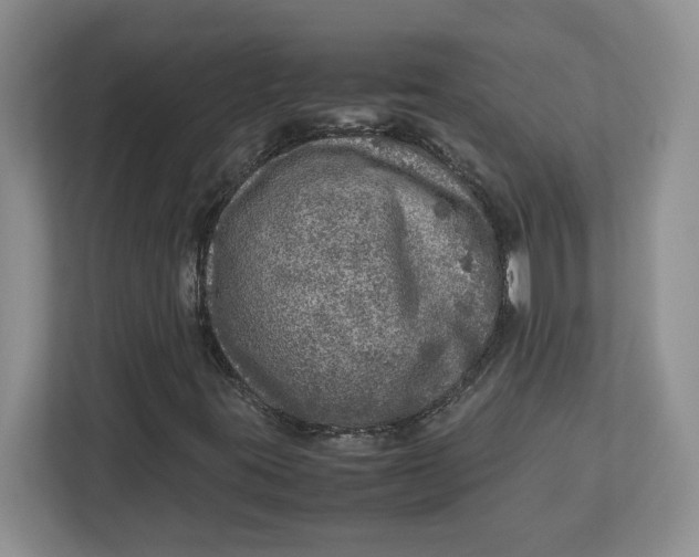 X0000112951395200909141358