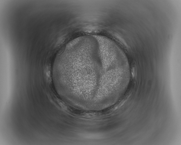 X0000112951396200909141358