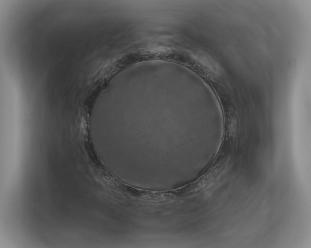 X0000112951397200909141358