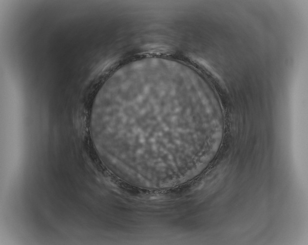 X0000112951399200909141358