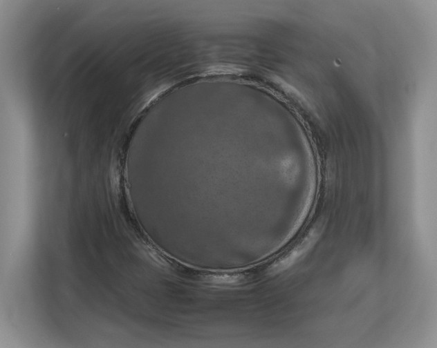 X0000112951401200909141358