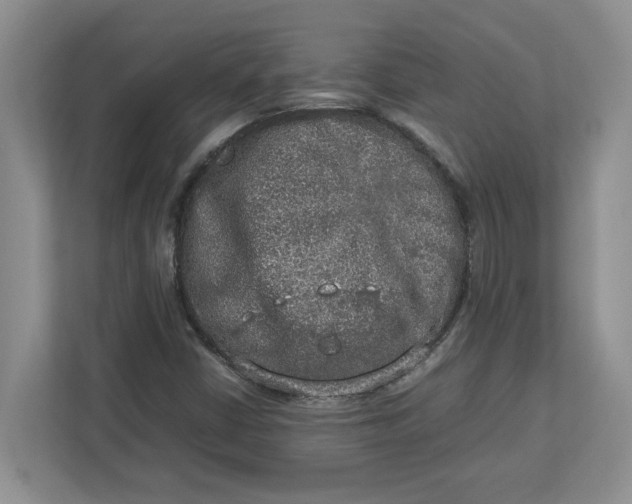 X0000112951402200909141358