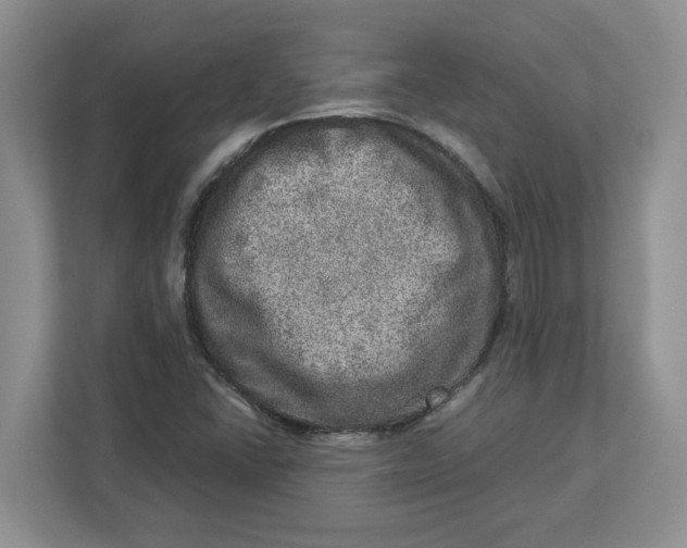 X0000112951406200909141358