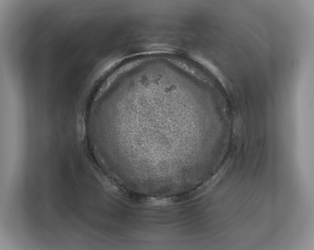 X0000112951407200909141358