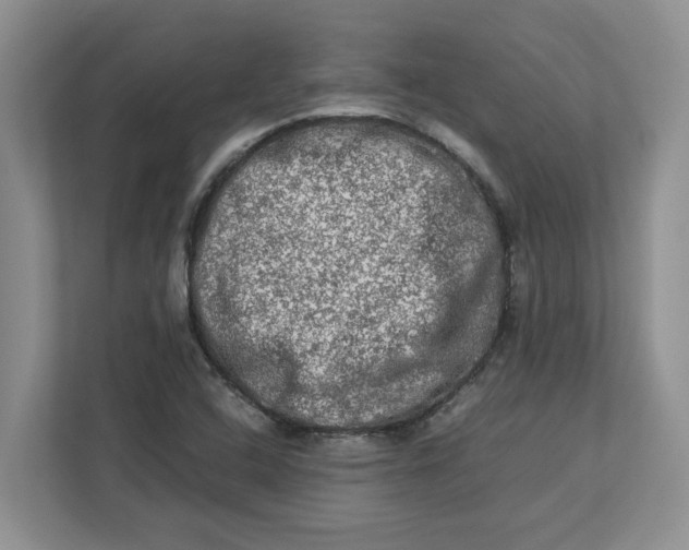 X0000112951408200909141358