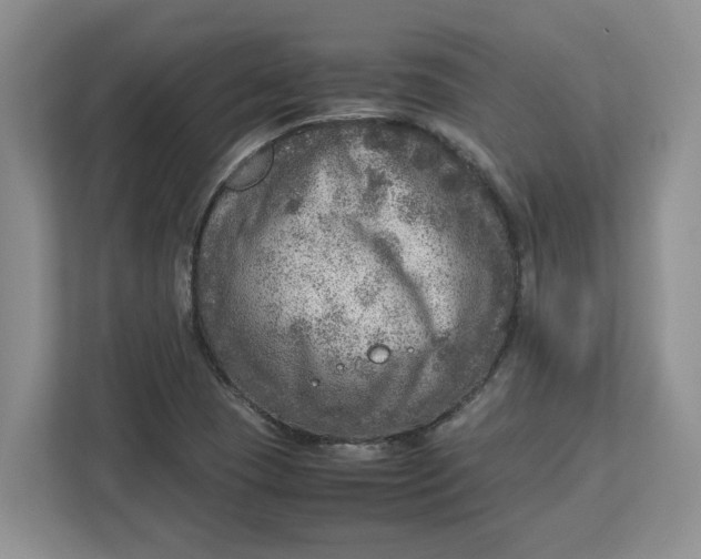 X0000112951409200909141358