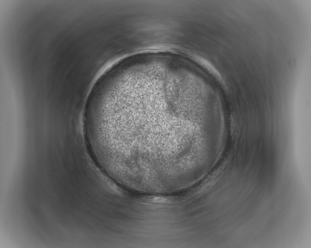 X0000112951412200909141358