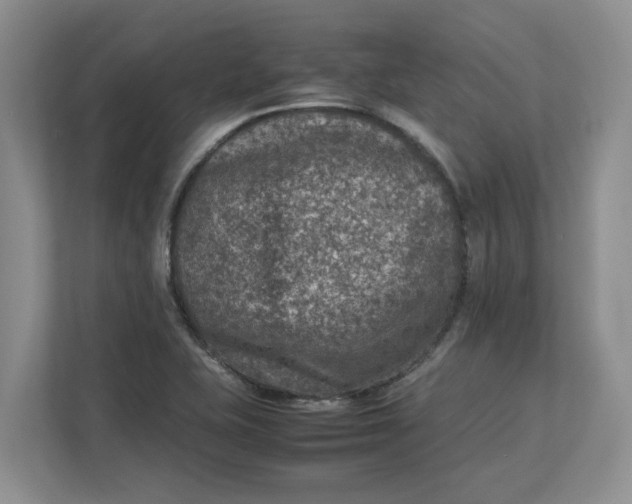 X0000112951415200909141358