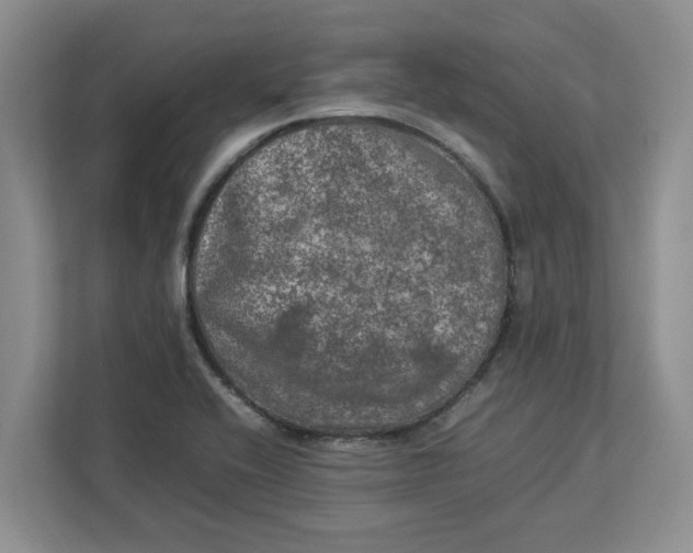 X0000112951416200909141358