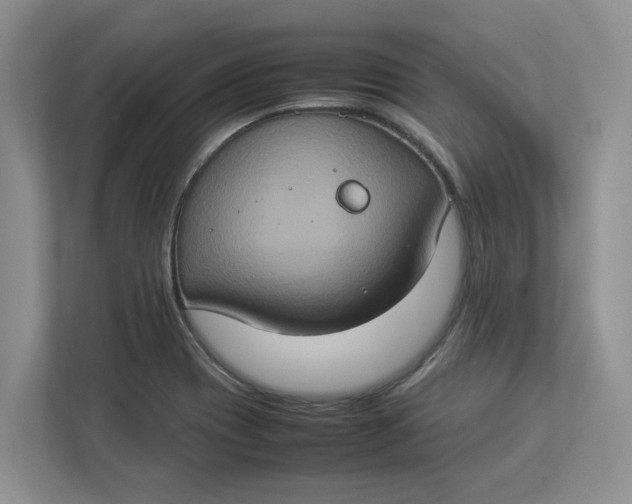 X0000112951417200909141358