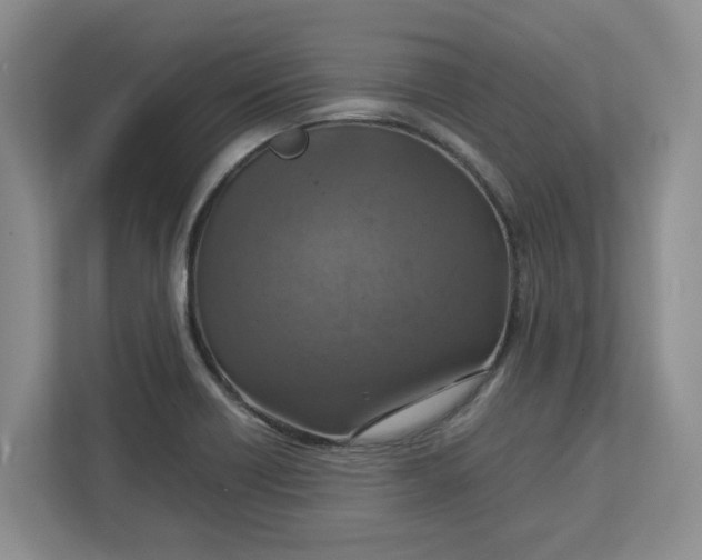 X0000112951418200909141358