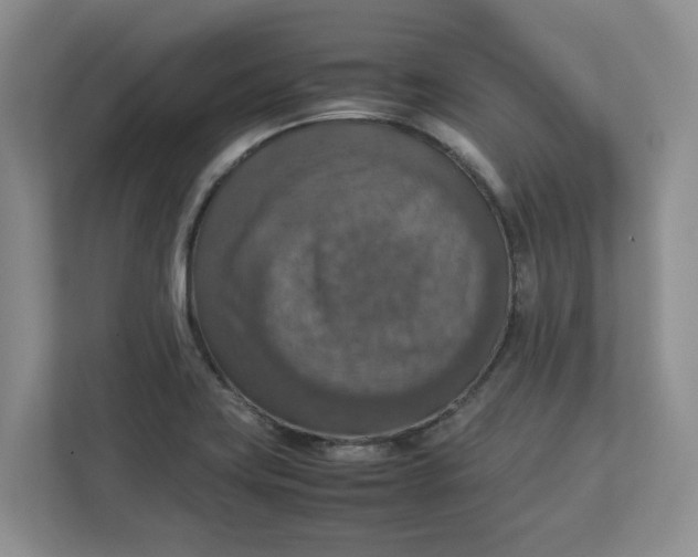 X0000112951419200909141358