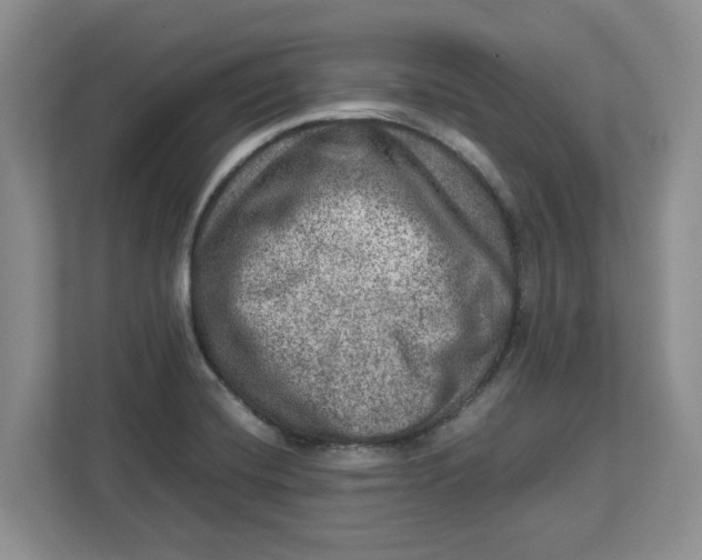 X0000112951420200909141358