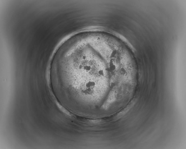 X0000112951421200909141358