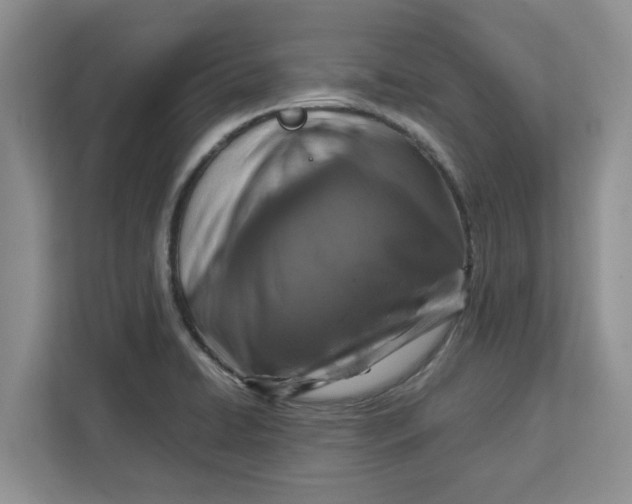 X0000112951422200909141358