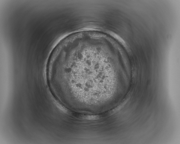 X0000112951423200909141358