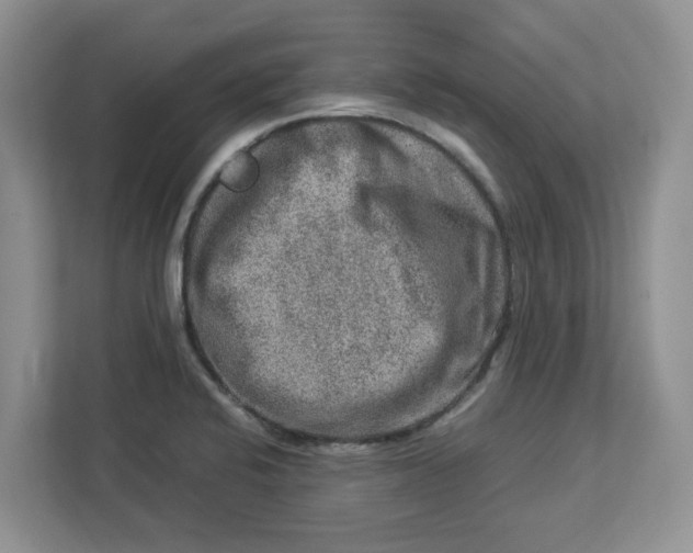 X0000112951424200909141358