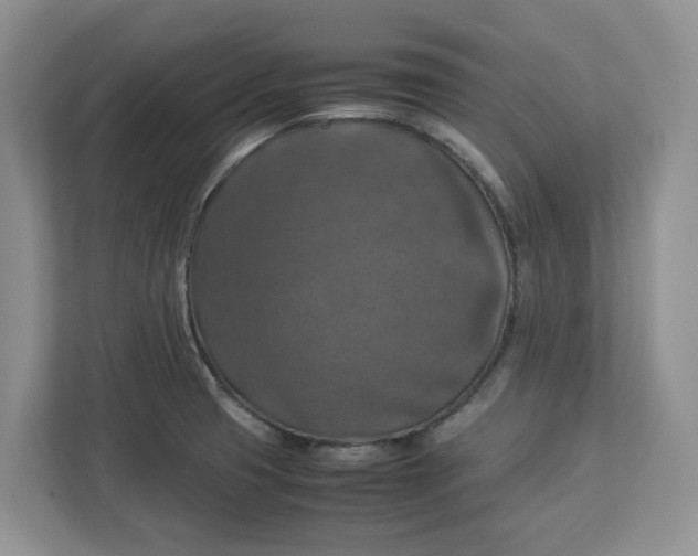 X0000112951425200909141358