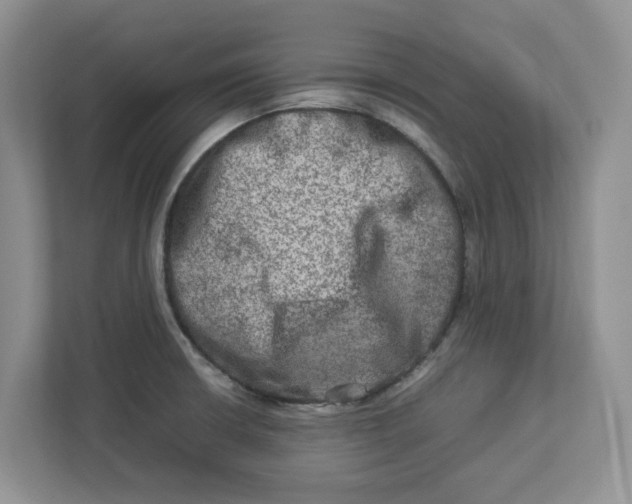 X0000112951426200909141358