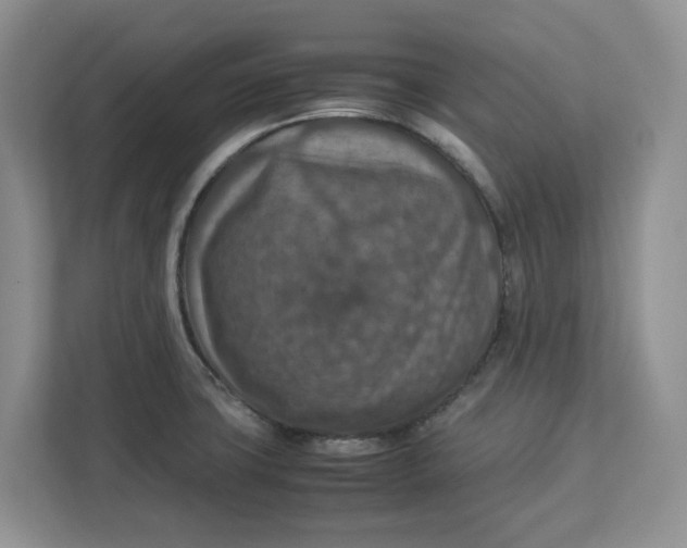 X0000112951427200909141358