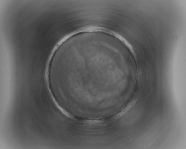 X0000112951429200909141358