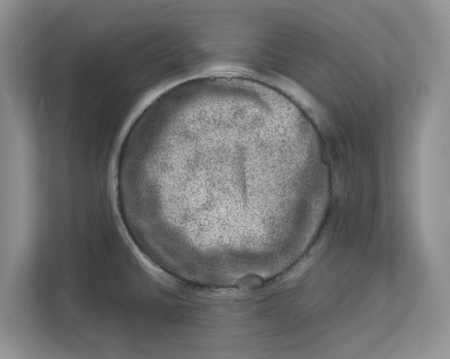 X0000112951430200909141358