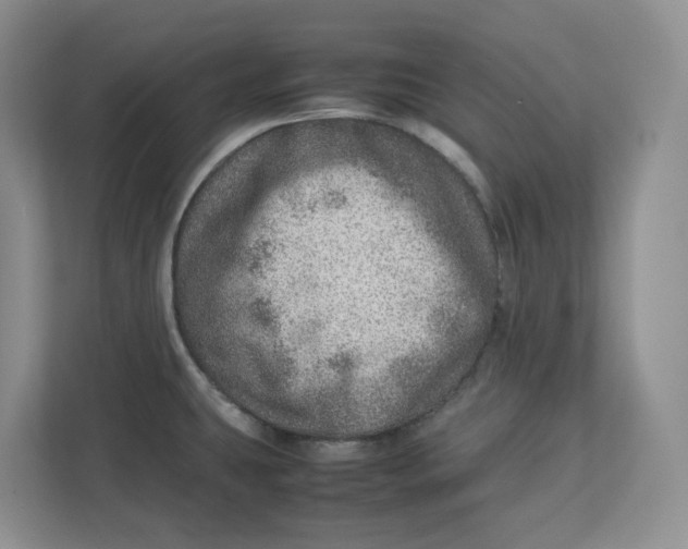 X0000112951431200909141358