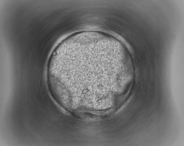 X0000112951432200909141358