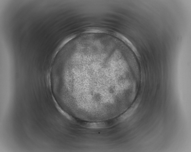 X0000112951433200909141358