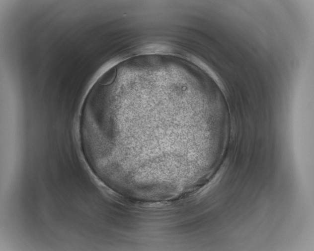 X0000112951434200909141358