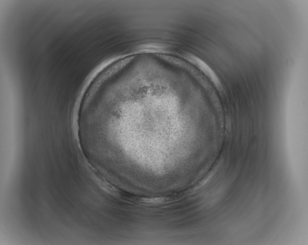 X0000112951435200909141358