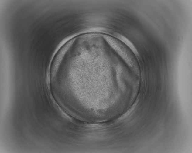 X0000112951436200909141358