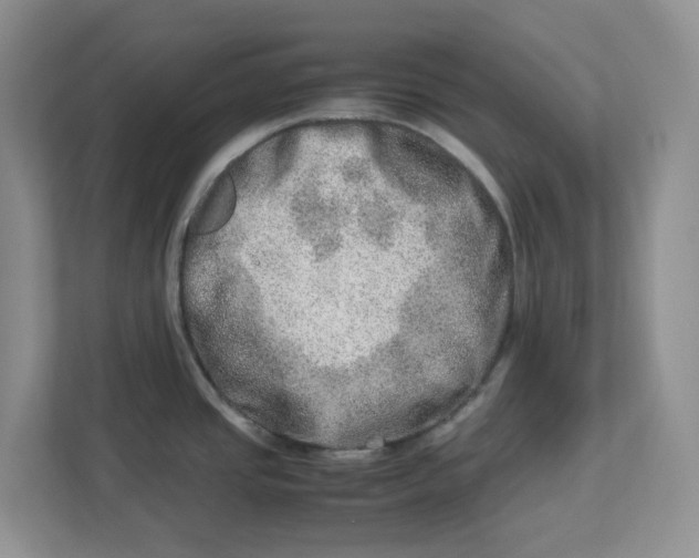 X0000112951437200909141358