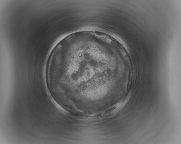 X0000112951438200909141358