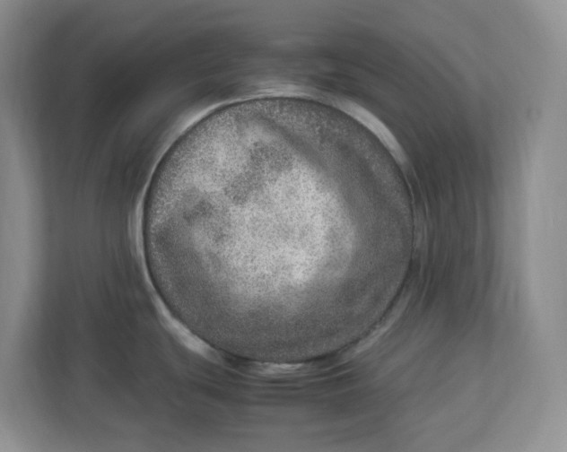 X0000112951439200909141358