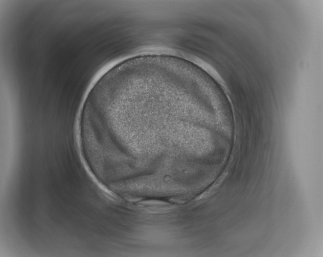 X0000112951440200909141358