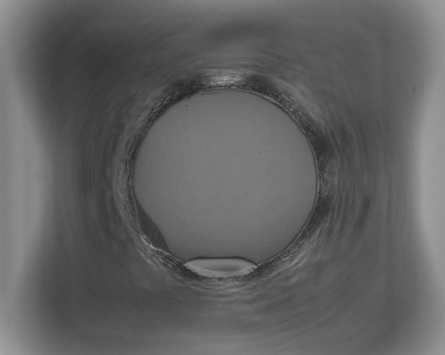 X0000112951441200909141358